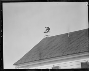 Weathervanes, unusual