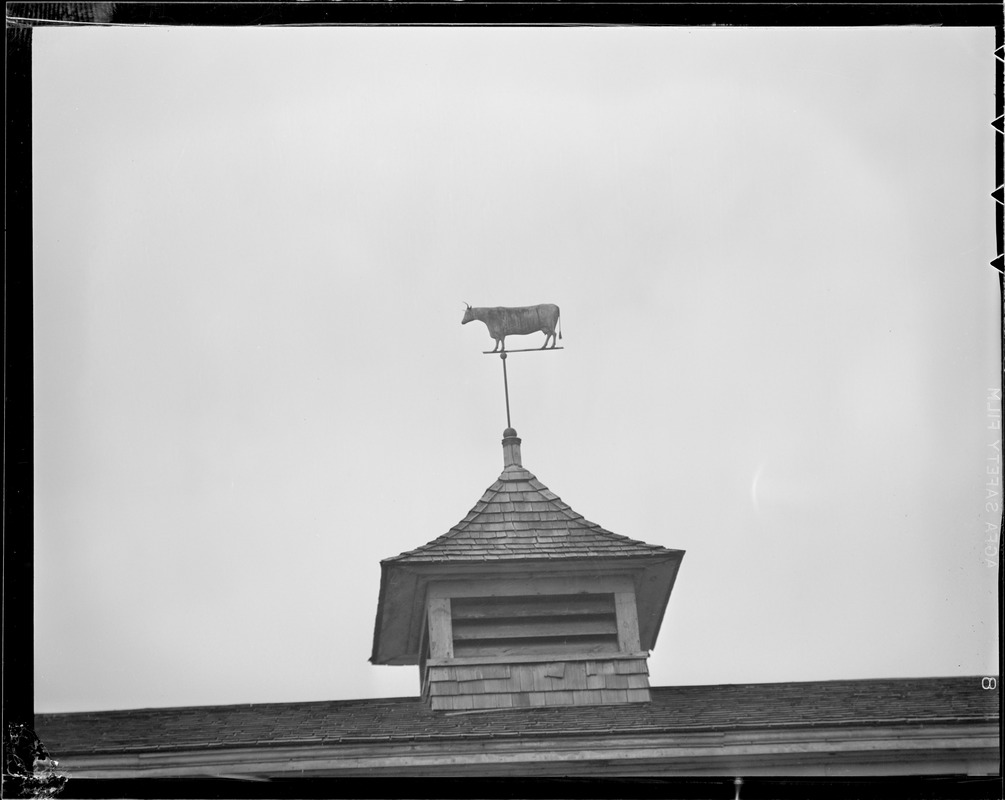 Weathervanes