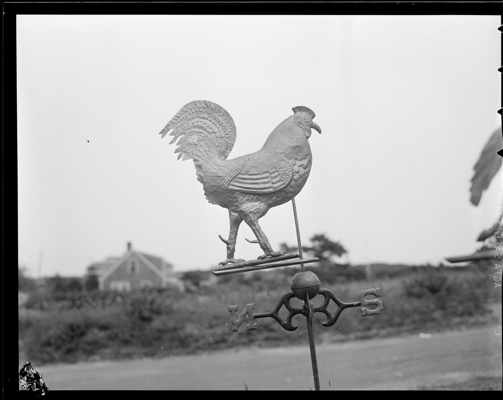 Weathervanes Digital Commonwealth