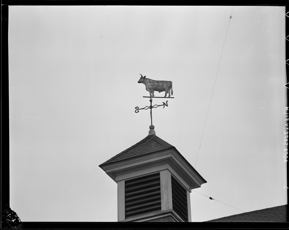 Weather vanes