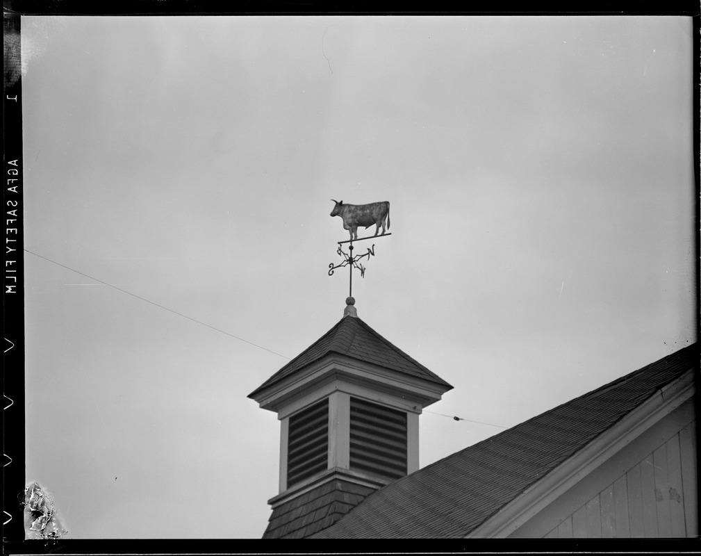 Weather vanes