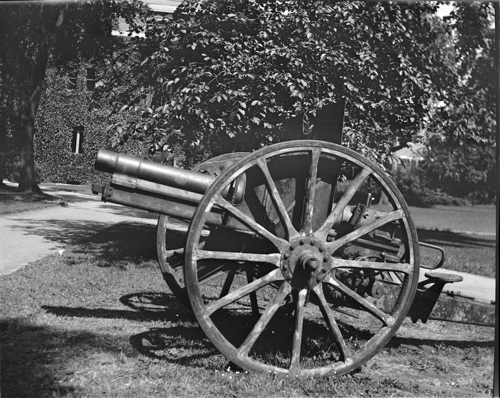 Old cannon