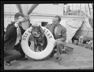 Sled dogs aboard Admiral Byrd's SS North Star