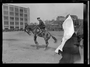 Officer Sullivan, now head of police photo dept., riding a bucking bronco
