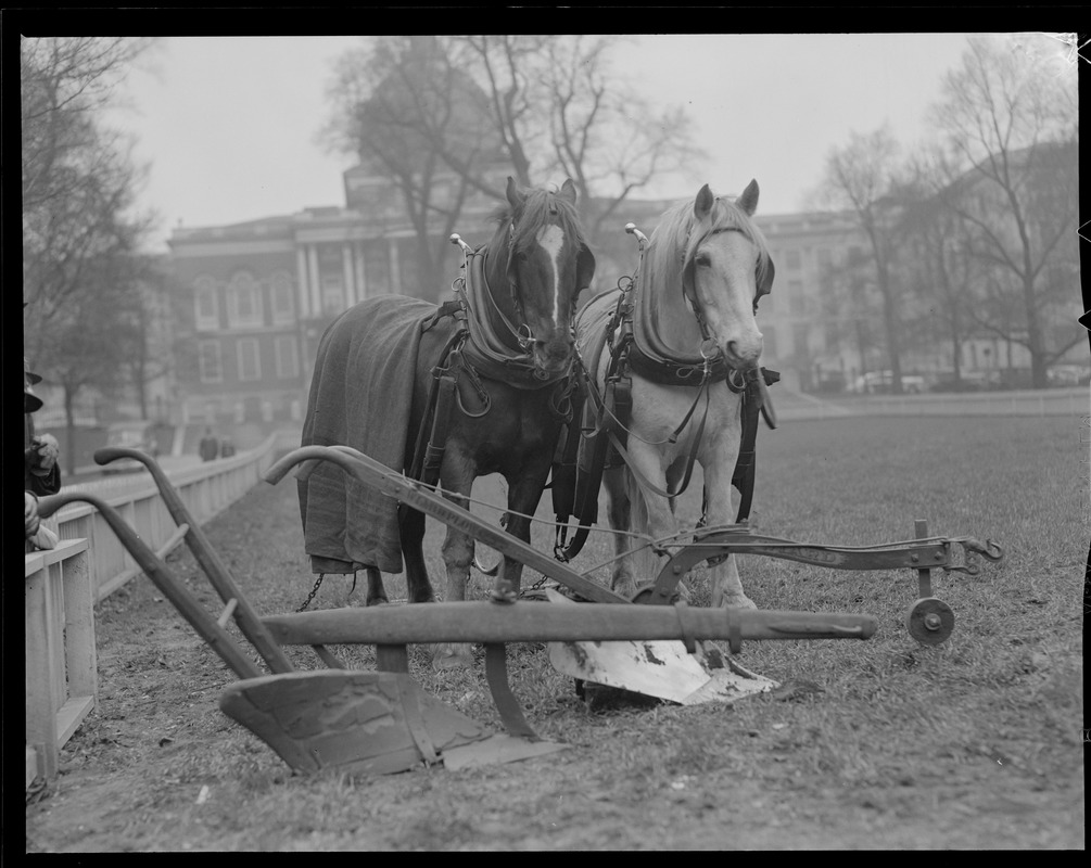 Daniel Webster's plow on Boston Common