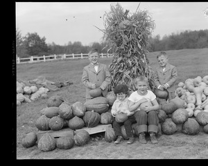 Pumpkin time