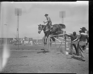 Rodeo
