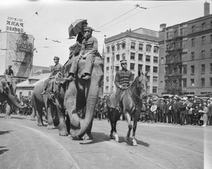 Circus Elephants parade through Park Square