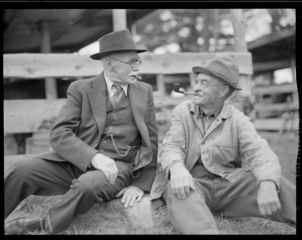 Brockton Fair, farmers and livestock