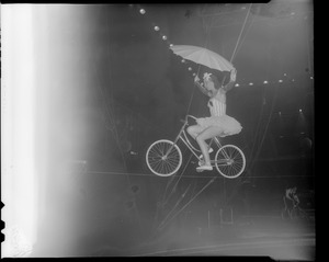 Circus aerialist on the high wire
