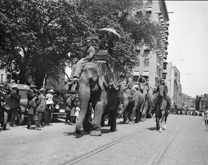 Circus elephants parade through Boston