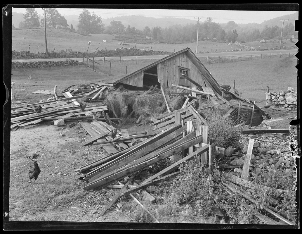 Farm building collapses Digital Commonwealth