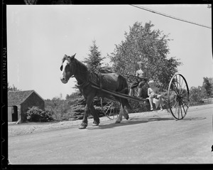 Boys driving horse drawn mower