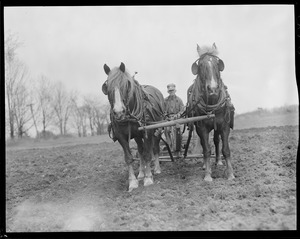 Farmer plowing with team