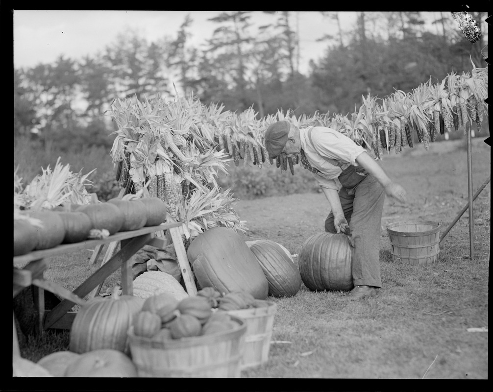 Man selling pumpkins and dried corn