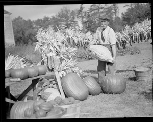Man selling pumpkins and dried corn