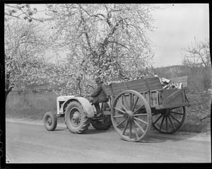 Farmer carting firewood with tractor