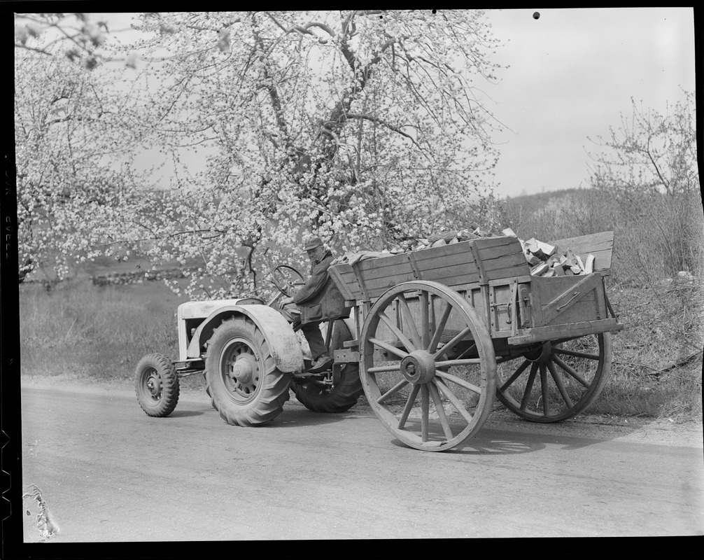 Farmer carting firewood with tractor