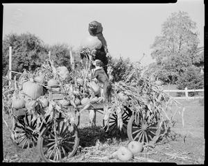 Pumpkin cart