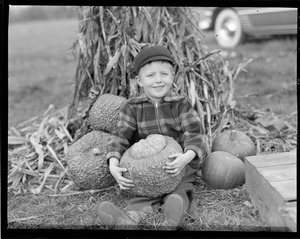 Kids visit farm during pumpkin time