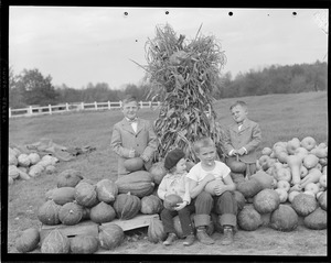 Kids visit farm during pumpkin time