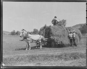 Farmer driving full hay cart