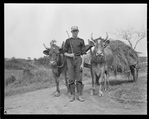 Young man with team pulling hay cart