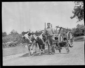 Man with team pulling empty hay wagon