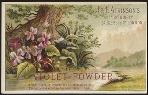 Violet Powder, a very superior powder and guaranteed to be perfectly harmless to most delicate skin.