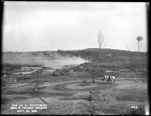 Sudbury Reservoir, Section K, stump pulling machine, from the west in road, Southborough, Mass., Sep. 25, 1896