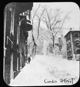 Cordis Street