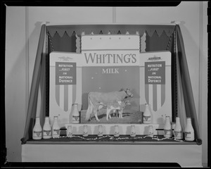 Whiting's display