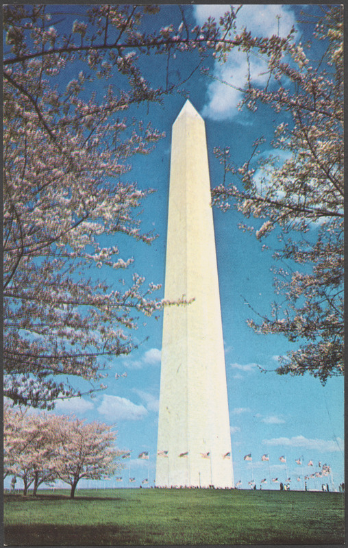 Washington Monument, cherry blossom time, Washington, D.C.