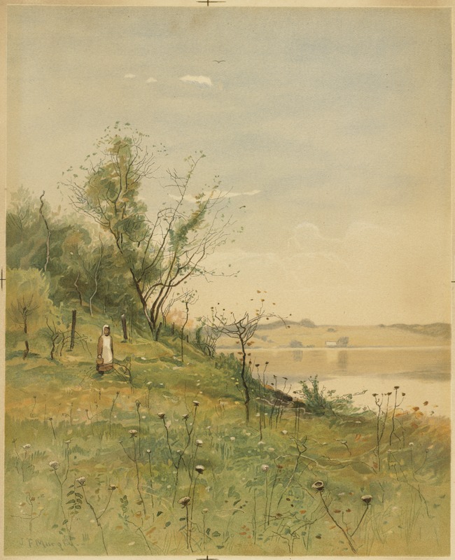 Spring landscape