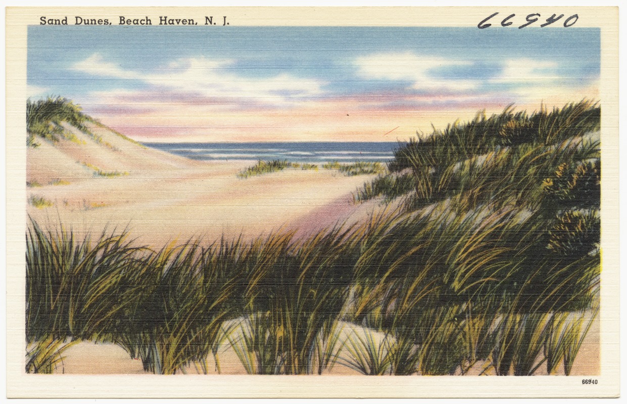 Sand dunes, Beach Haven, N. J.