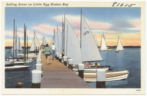 Sailing scene on Little Egg Harbor Bay
