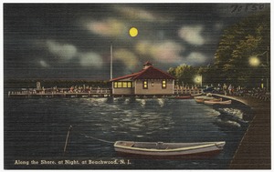 Along the shore, at night, at Beachwood, N. J.