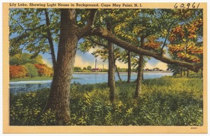 Lily Lake, showing light house in background, Cape May Point, N. J.