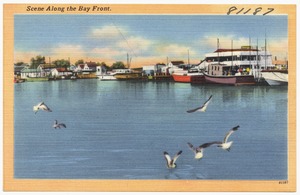 Scene along the bay front