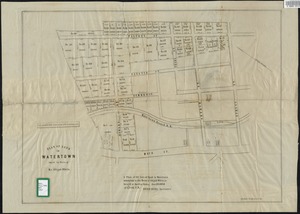 Plan of land in Watertown owned by heirs of Mr. Abijah White. : a plan of 31 lots of land in Watertown belonging to the heirs of Abijah White, to be sold at Auction Friday, June 25, 1852. at 3 1/2 o'clk. P.M.