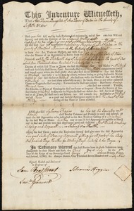 Ann Davis indentured to apprentice with Sylvanus [Silvanus] Higgins of Middelton, Conn., 3 July 1769