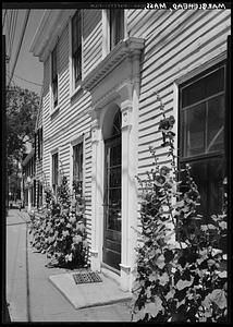 Marblehead, Franklin Street, hollyhocks