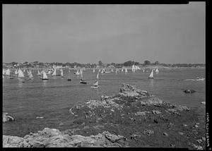 Sailboats from Chandler Hovey Park