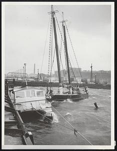 Storm Tossed - A modern 25-foot catamaran and the 100-year-old schooner Alice Wentworth heeled under the rain and waves by Pier 4 on the waterfront Thursday during the storm.
