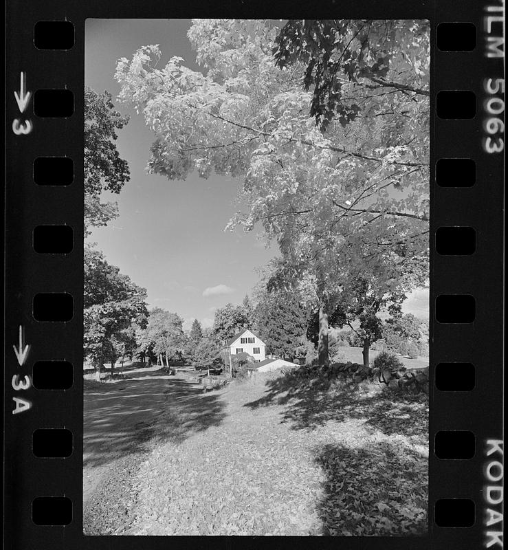 Foliage Maudslay