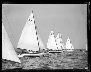 Sailboats