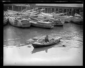 A man rowing a boat