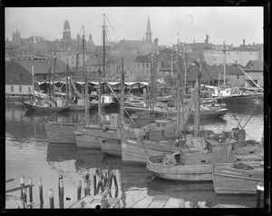 Gloucester harbor