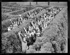 Girls in hedge maze in Waltham
