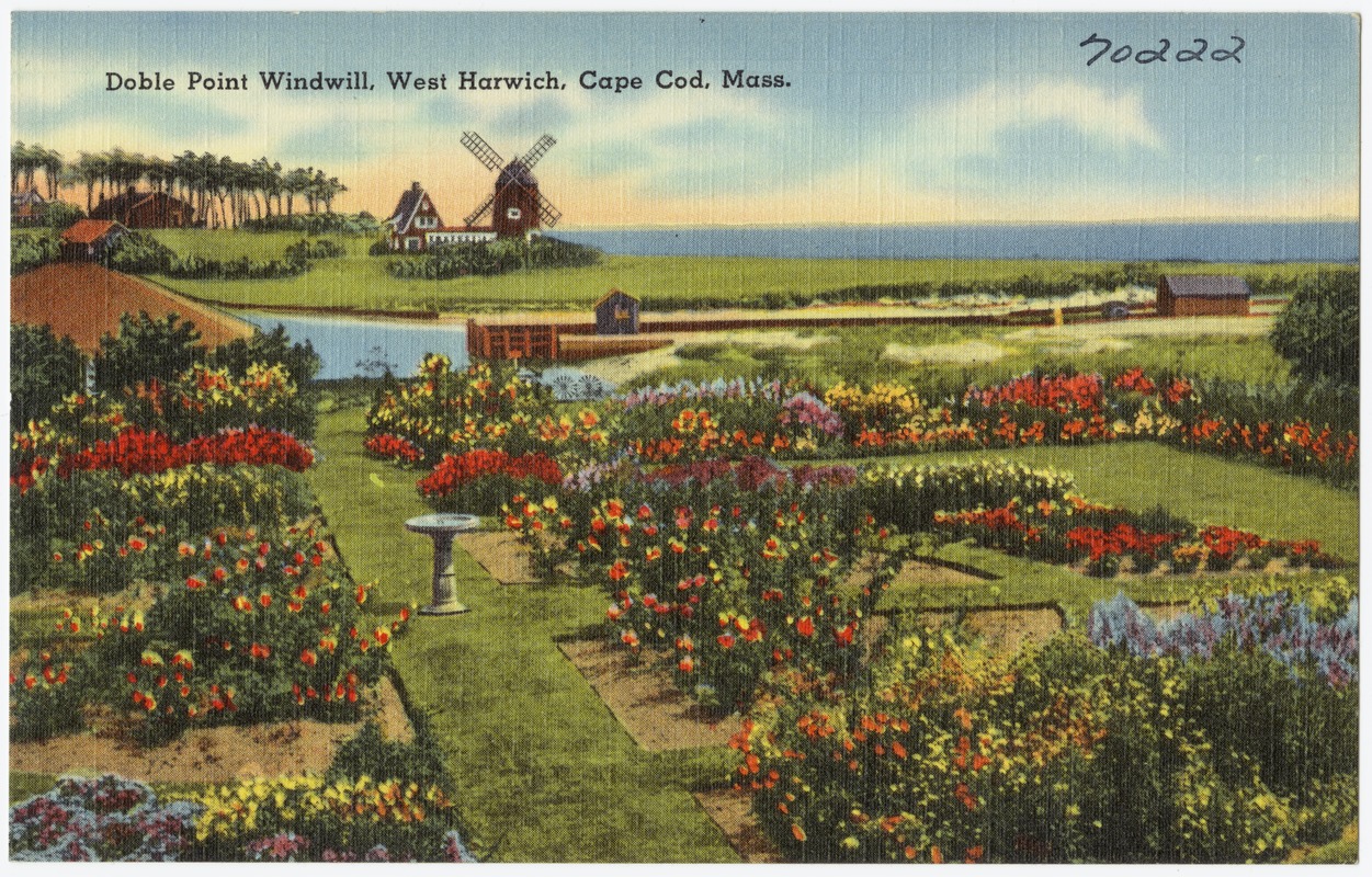 Doble Point Windmill, West Harwich, Cape Cod, Mass.